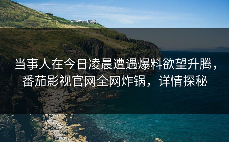 当事人在今日凌晨遭遇爆料欲望升腾，番茄影视官网全网炸锅，详情探秘